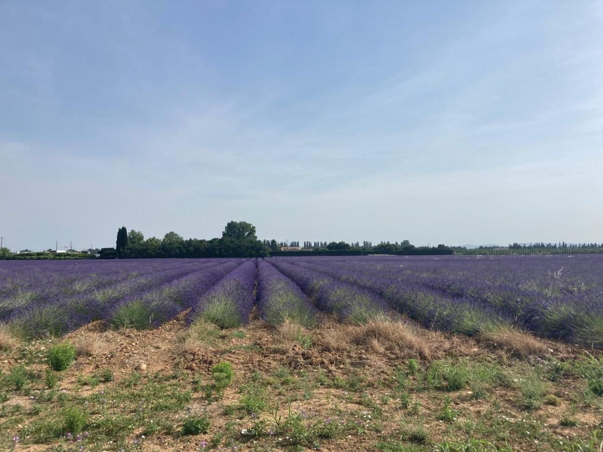 La Petite Maison En Pierres Gras 外观 照片